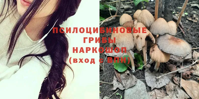 это состав  Спасск-Рязанский  Галлюциногенные грибы Psilocybe 